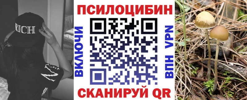 Псилоцибиновые грибы Psilocybine cubensis гидра ссылки Курильск